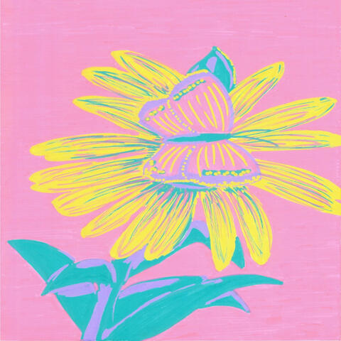 Butterfly-Acrylic marker on paper