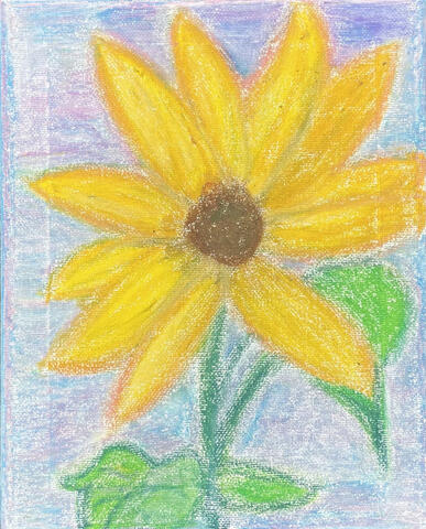 Sunflower. Oil pastel on canvas